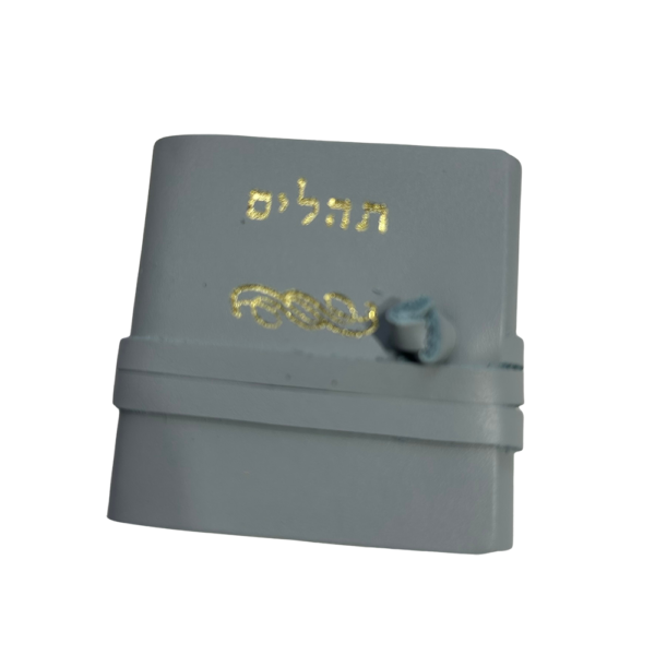 תהילים רודי