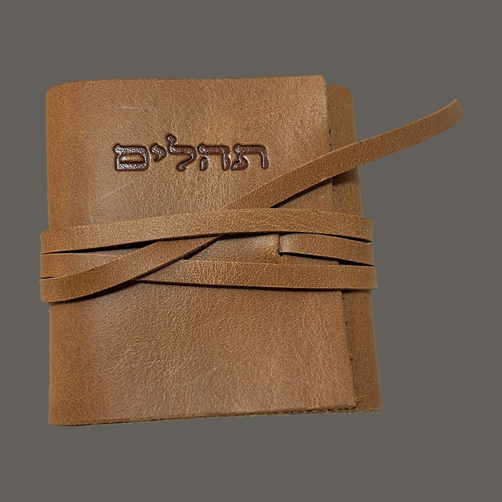 ספר תהילים לחיילים